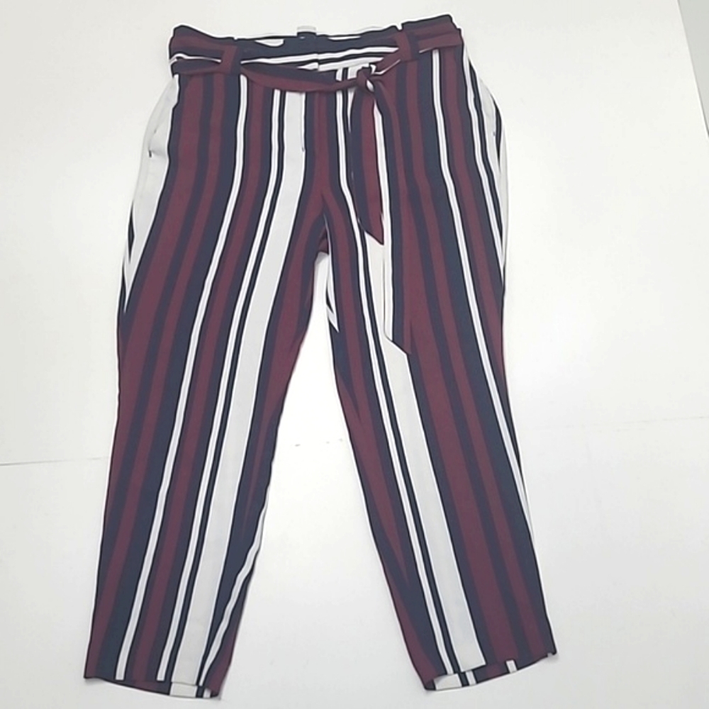 Express High Waist Rise Ankle Dress Pants Flowy Fit Pockets Accent Belt Sz 14 - Picture 9 of 17